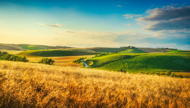 Lush agricultural farmland with rolling green hills
